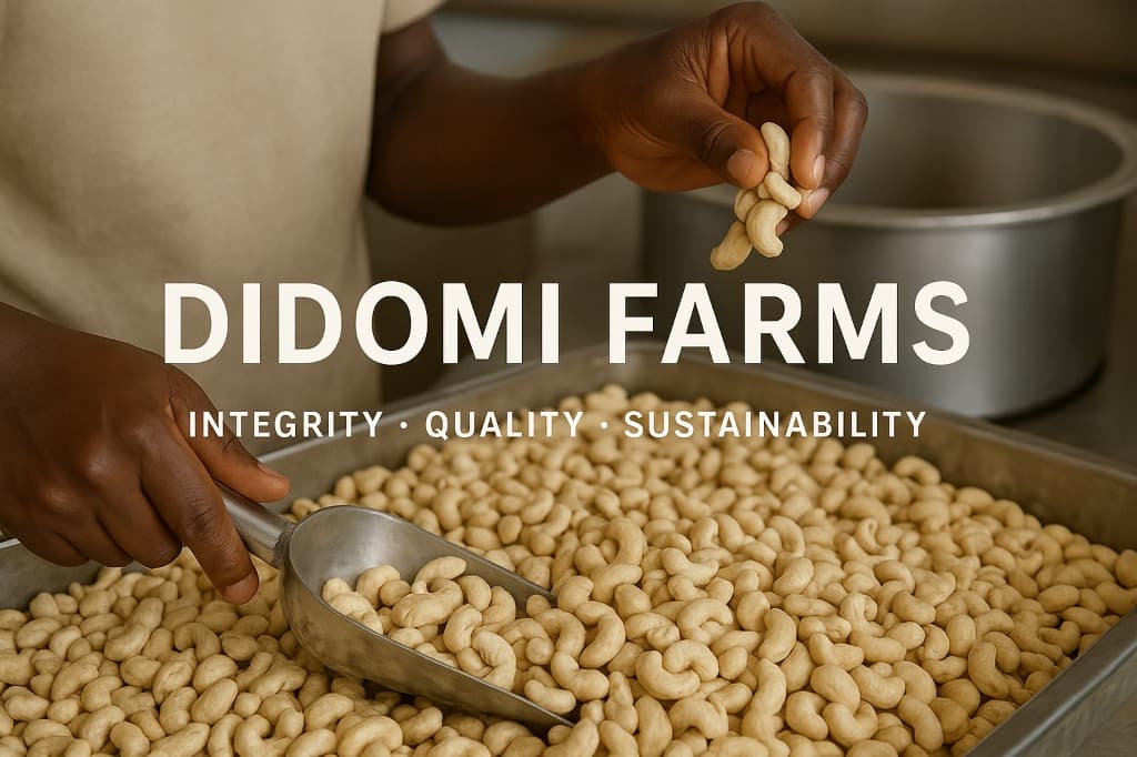 Premium Cashew Processing